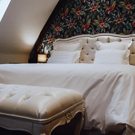 Chateau Ecrin De Lumiere * Campsegret