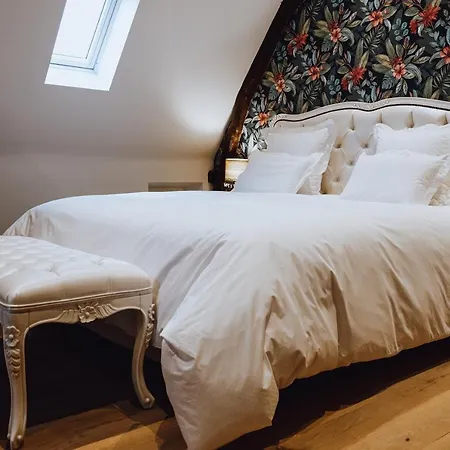 Chateau Ecrin De Lumiere 4* Campsegret