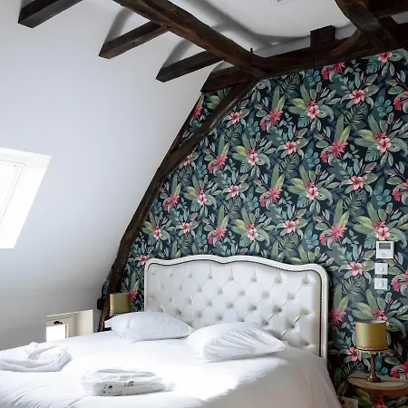 Bed and Breakfast Chateau Ecrin De Lumiere 4*