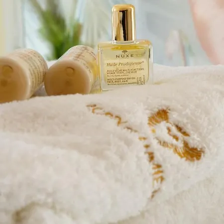 Chateau Ecrin De Lumiere Bed and Breakfast