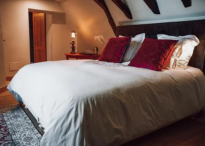 Château Ecrin De Lumière Bed & Breakfast Campsegret