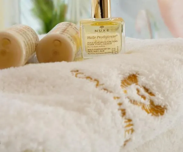 Chateau Ecrin De Lumiere לינה וארוחת בוקר